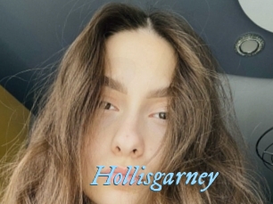 Hollisgarney