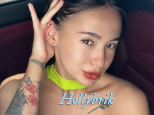 Hollybrik