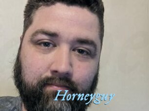Horneyguy