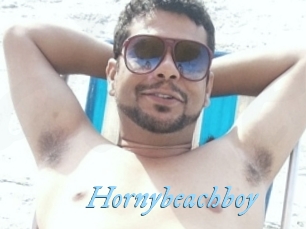 Hornybeachboy