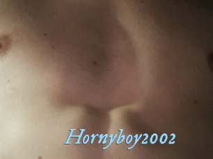 Hornyboy2002