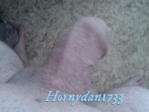 Hornydan1733