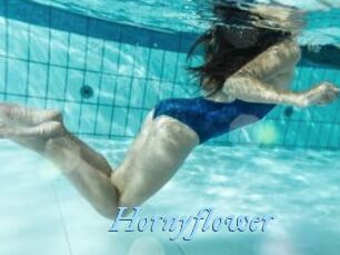 Hornyflower