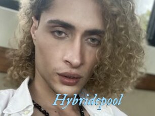 Hybridepool