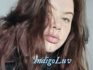 IndigoLuv