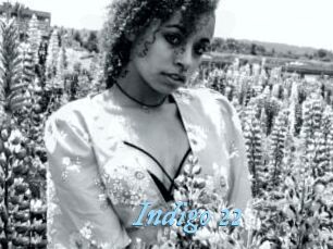Indigo_22