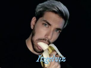 Itsgelviz