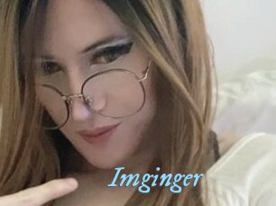 Imginger