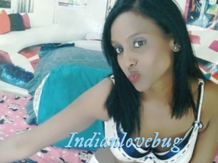 Indianlovebug