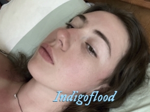 Indigoflood