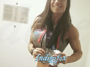 Indigofox
