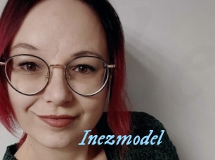 Inezmodel