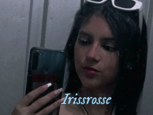 Irissrosse