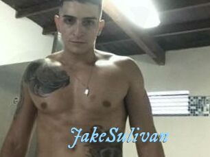 Jake_Sulivan