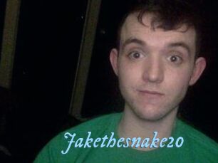 Jakethesnake20