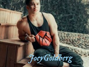 JoeyGoldberg