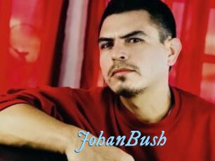 JohanBush