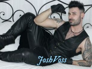 JoshVoss