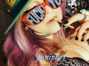 Junipurr