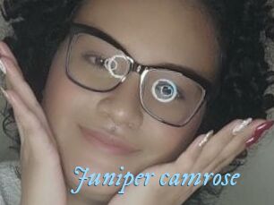 Juniper_camrose