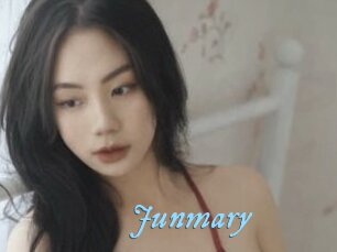 Junmary