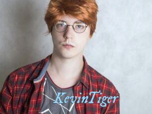 KevinTiger