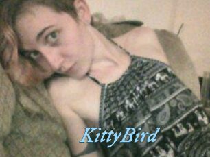 KittyBird