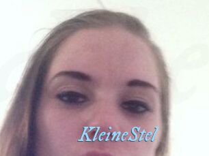 KleineStel