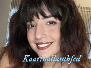 Kaarinallambfed