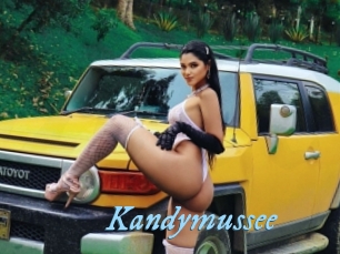 Kandymussee