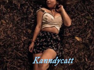 Kanndycatt