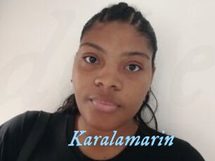 Karalamarin