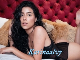Karinaalvy