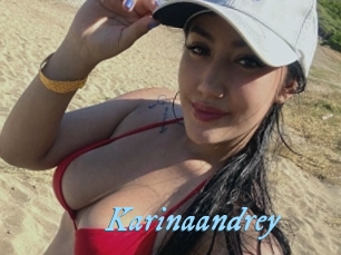 Karinaandrey