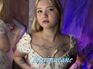 Karinacane