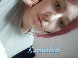 Karinakodi