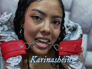 Karinasheins
