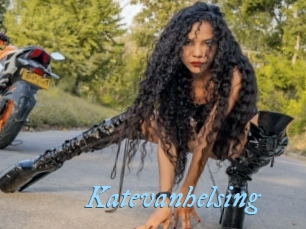 katevanhelsing DeriheruI