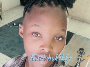 Katlehokikky