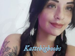 Kattebigboobs