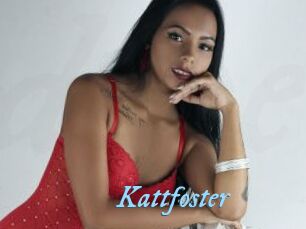 Kattfoster