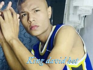 King_david_hot