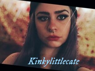 Kinkylittlecate
