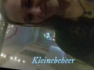 Kleinebeheer