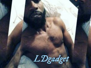 LDgadget