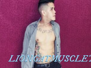 LIONGAYMUSCLET