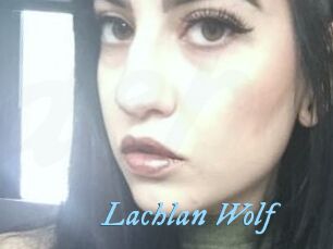 Lachlan_Wolf