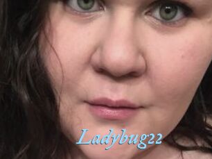 Ladybug22