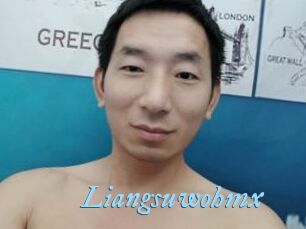 Liangsuwohmx
