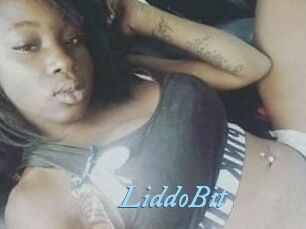 LiddoBit